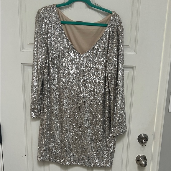 Elegant Silver Sequin Dress - Picture 3 of 4